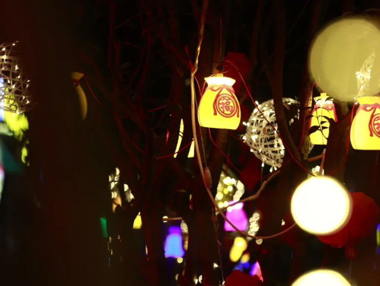 光影璀璨，盐津新章|2025盐津县新春夜游光影节圆满落幕！